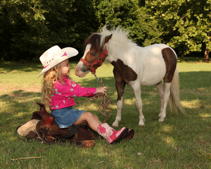 pony2.gif